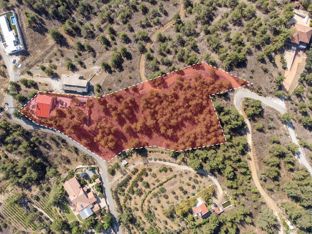 Residential Field - Agios Epifanios Oreinis, Nicosia image 3