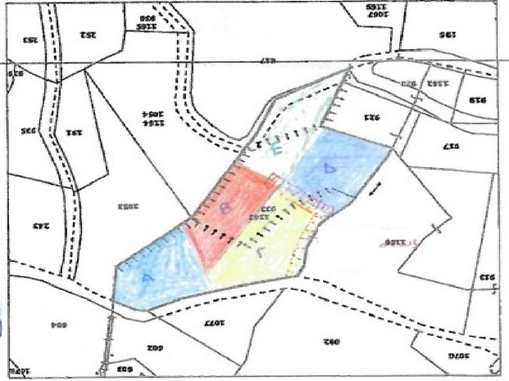 Residential Field - Agios Epifanios Oreinis, Nicosia image 6