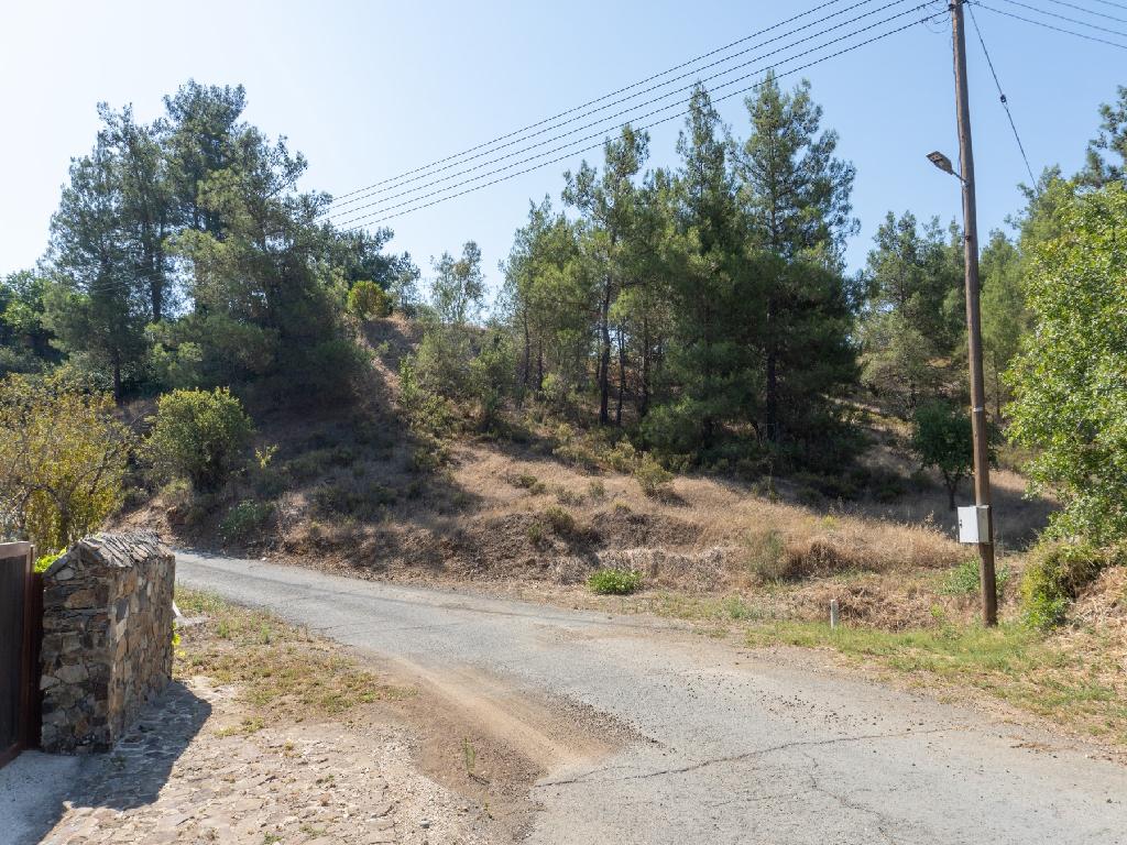 Residential Field - Agios Epifanios Oreinis, Nicosia