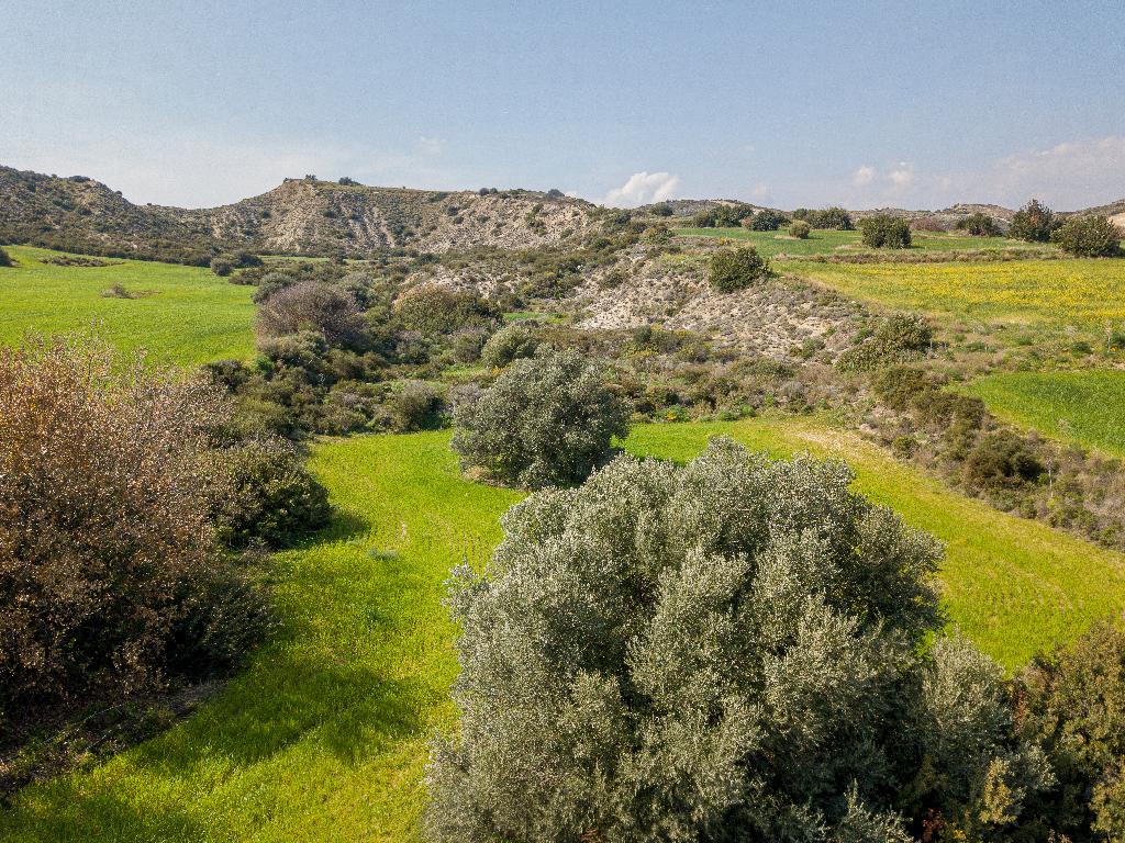 Residential Field (landlocked) - Tochni, Larnaca image 4