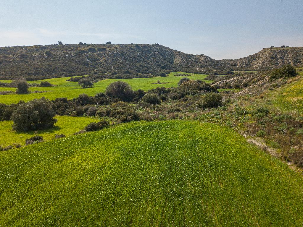Residential Field (landlocked) - Tochni, Larnaca image 5