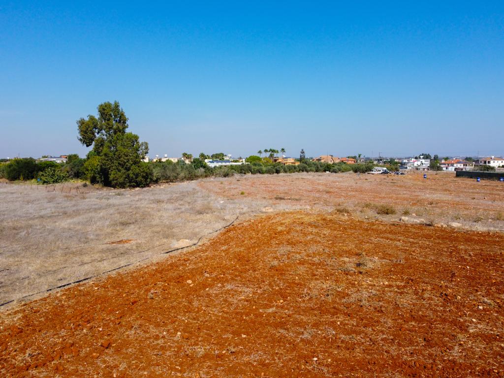 Residential Field - Xylofagou, Larnaca image 4