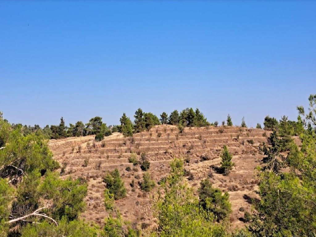 Agricultural Field - Agios Epifanios Oreinis, Nicosia