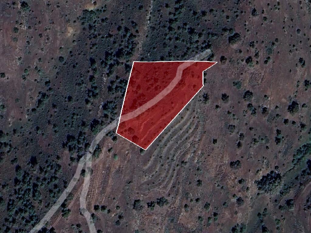 Agricultural Field - Agios Epifanios Oreinis, Nicosia image 2