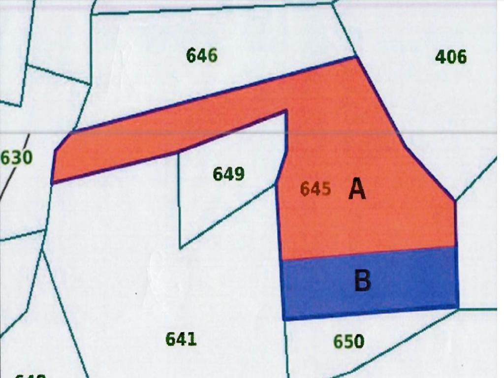 Residential Field - Pyrgos, Limassol image 4