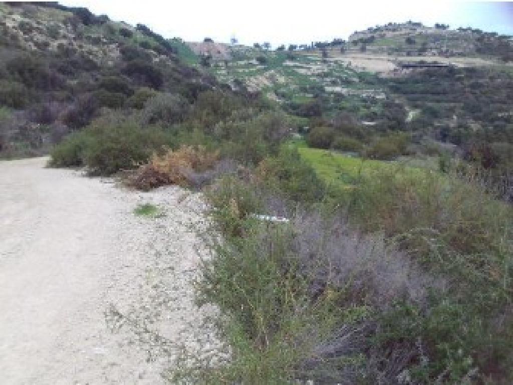 Livestock Field - Drouseia, Paphos image 2