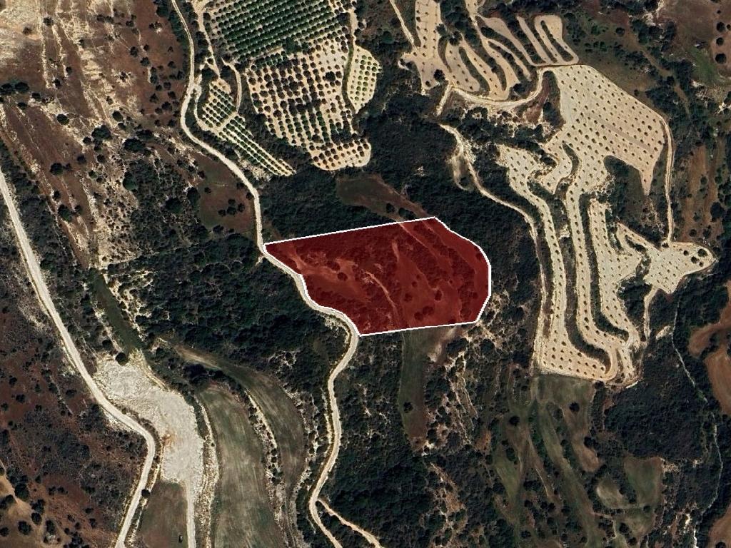 Livestock Field - Drouseia, Paphos