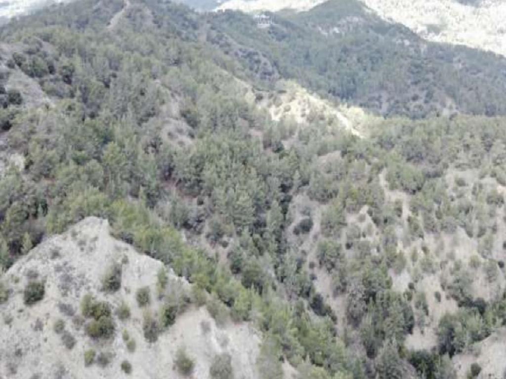 Agricultural Field - Pera Pedi, Limassol