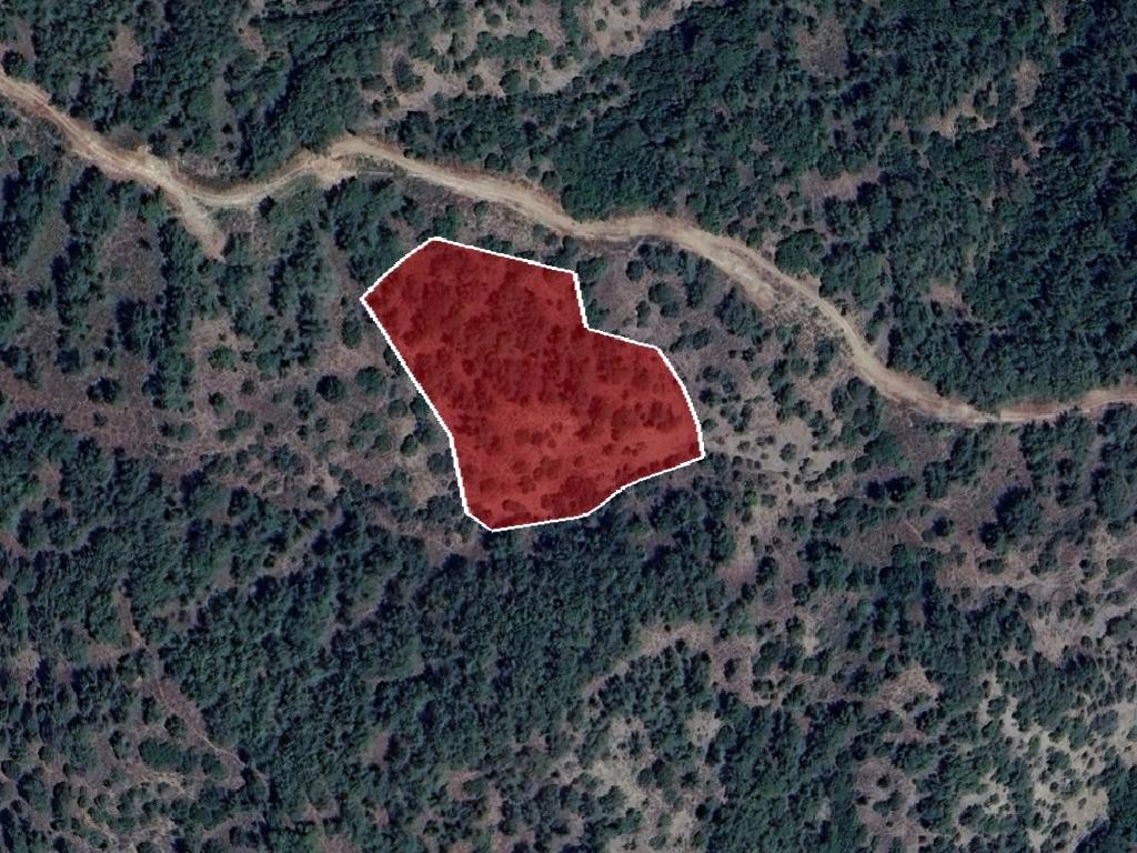 Agricultural Field - Pera Pedi, Limassol image 2