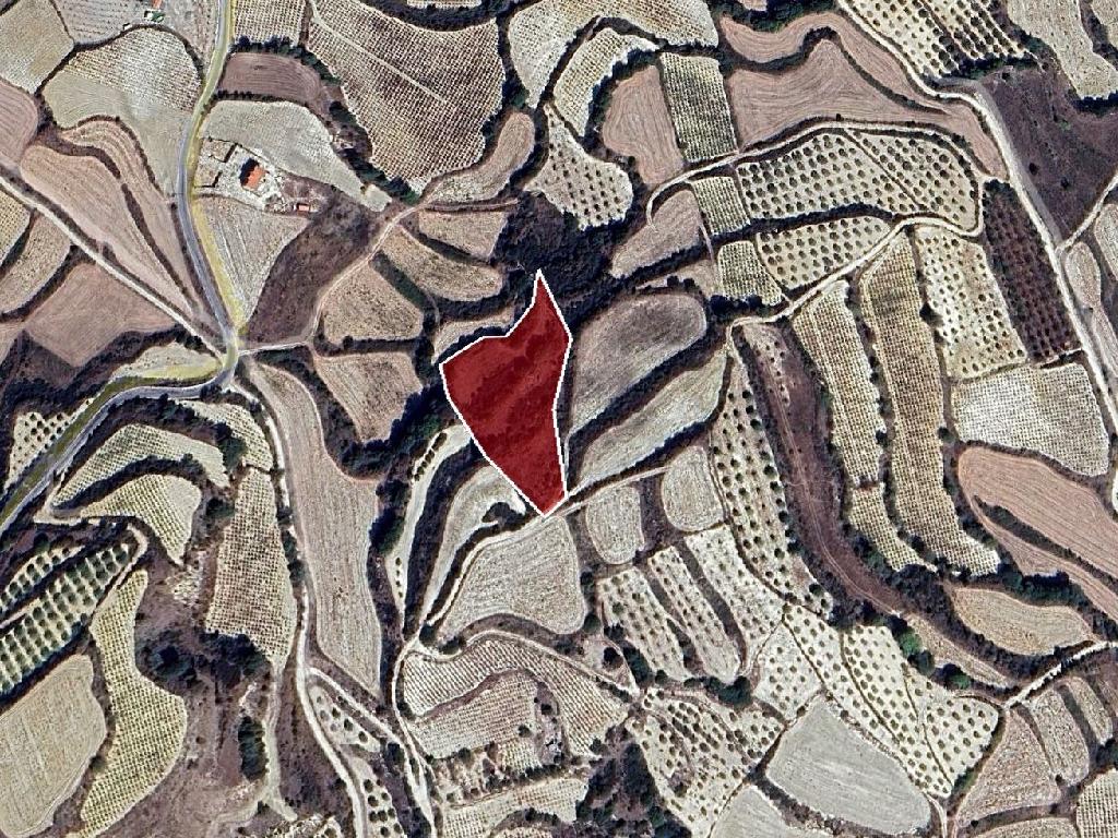 Agricultural Field - Letymvou, Paphos