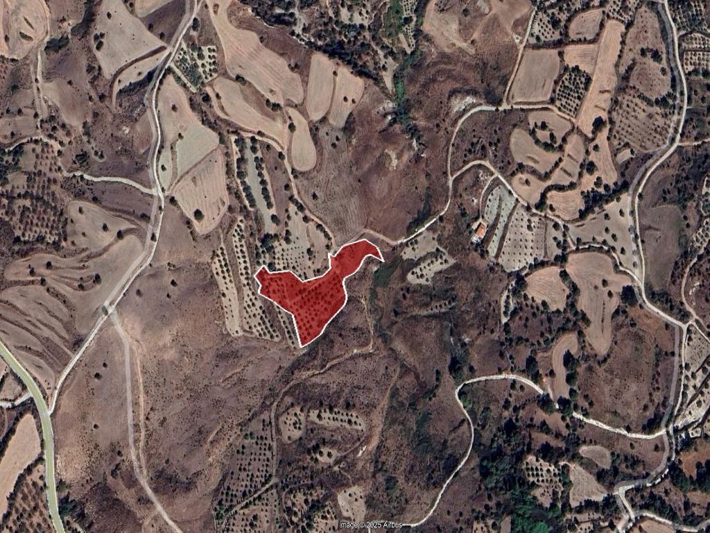 Agricultural Field - Lasa, Paphos image 7