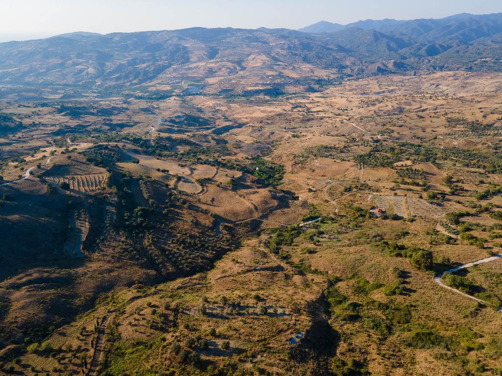 Agricultural Field - Lasa, Paphos image 4