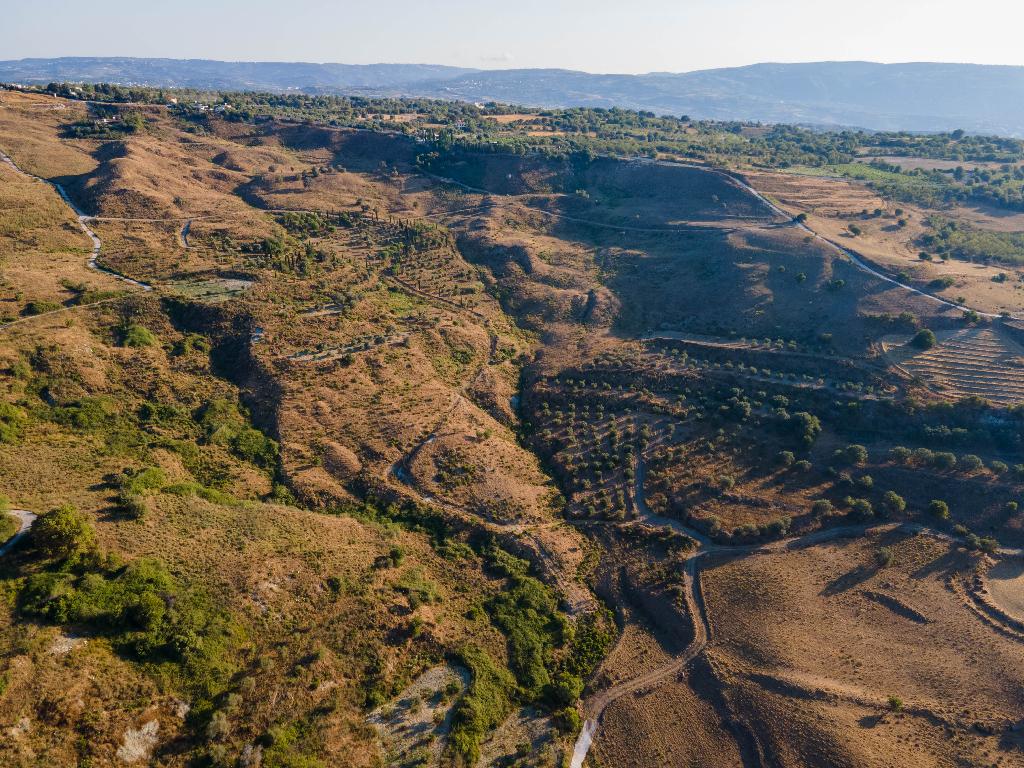 Agricultural Field - Lasa, Paphos image 5
