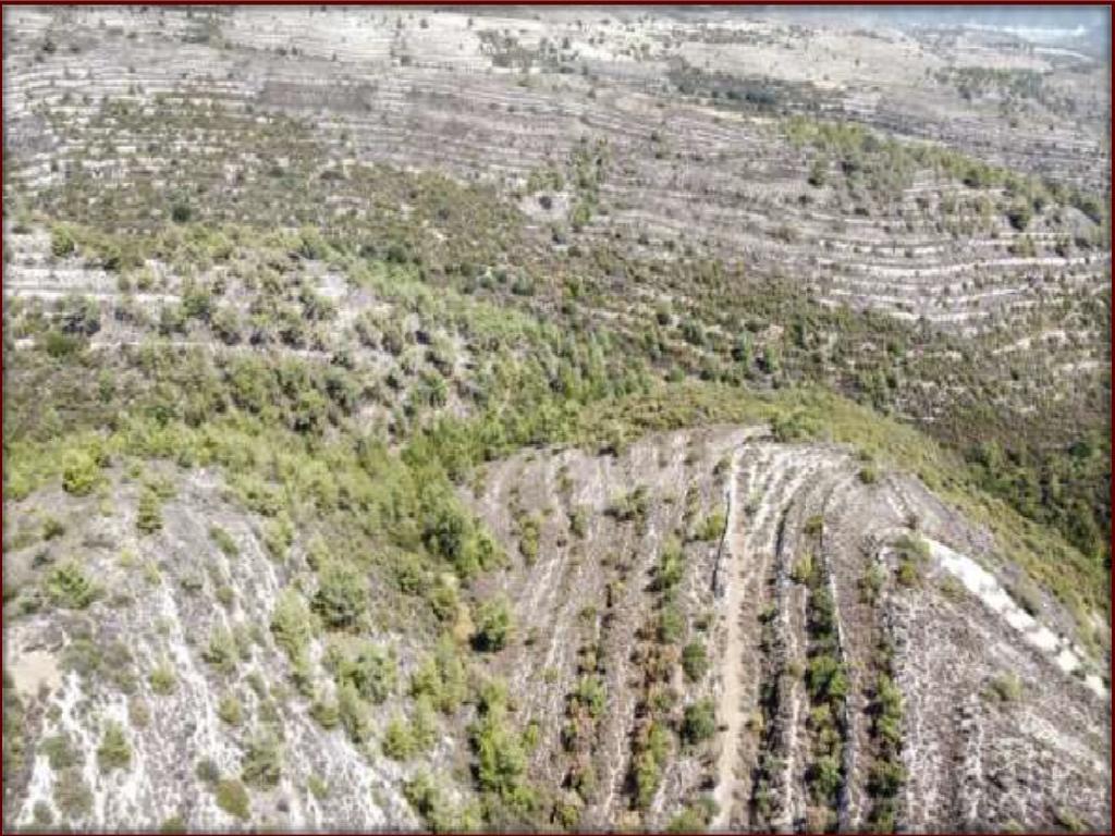 Agricultural Field - Agios Therapon, Limassol image 2