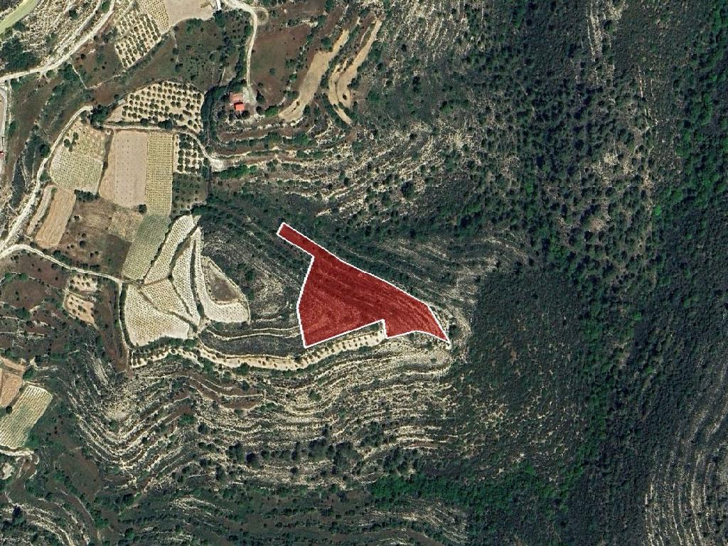 Agricultural Field - Agios Therapon, Limassol image 3