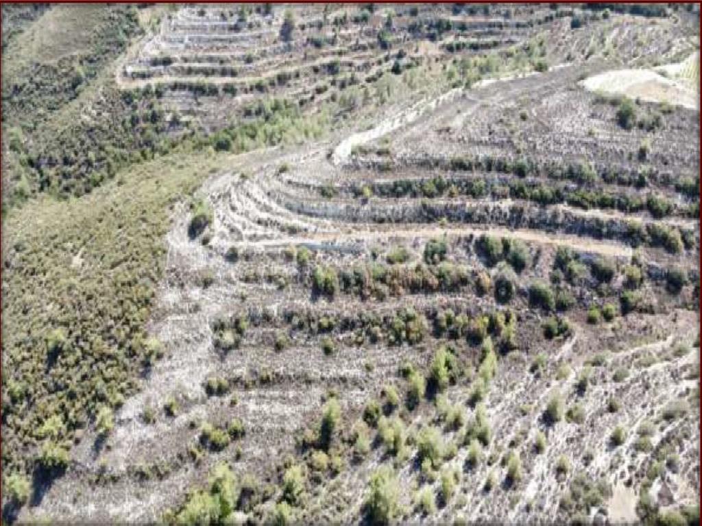 Agricultural Field - Agios Therapon, Limassol