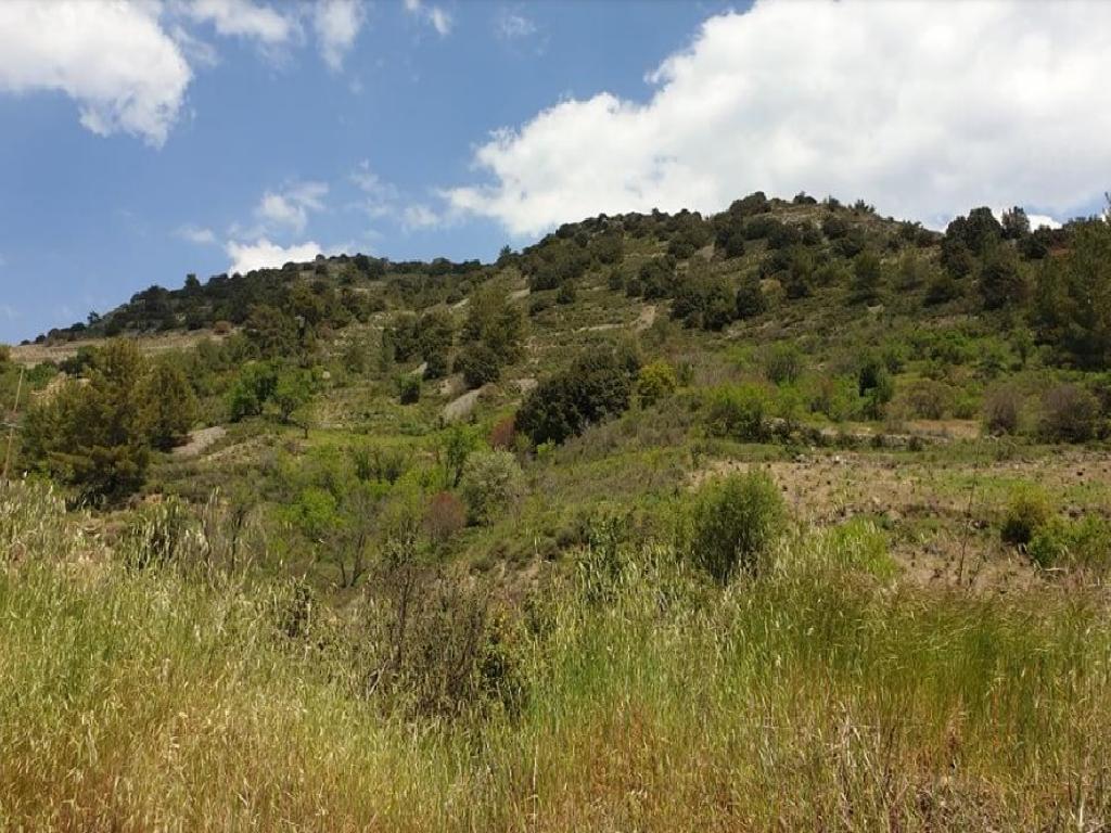 Agricultural Field - Palaichori Morphou, Nicosia image 2
