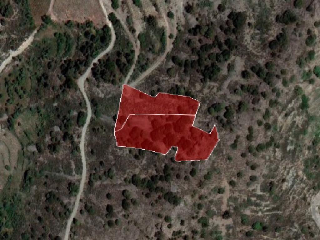 Agricultural Field - Palaichori Morphou, Nicosia image 3