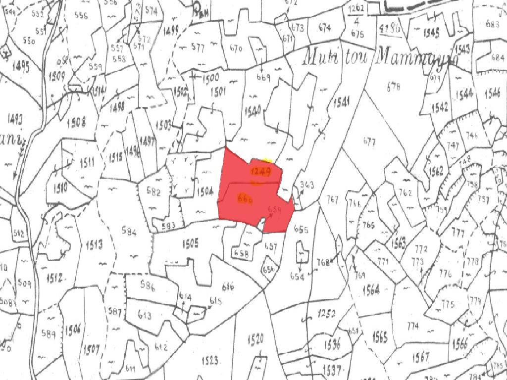 Agricultural Field - Palaichori Morphou, Nicosia image 4