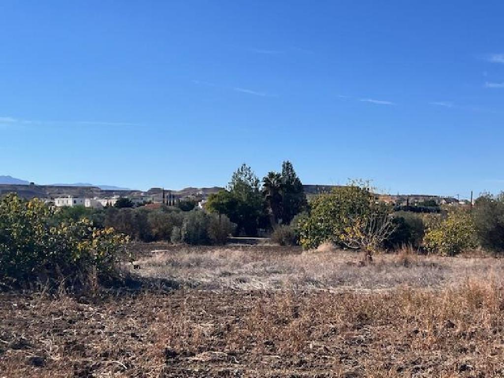 Residential Field - Ergates, Nicosia