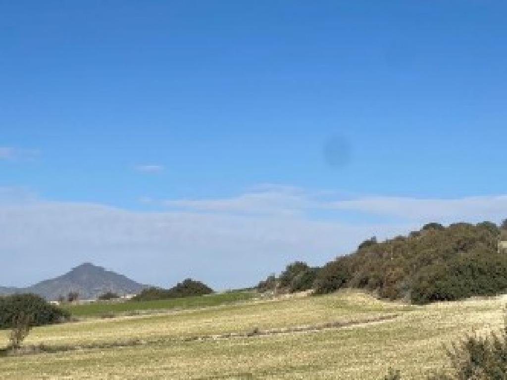 Agricultural Field - Agios Theodoros, Larnaca