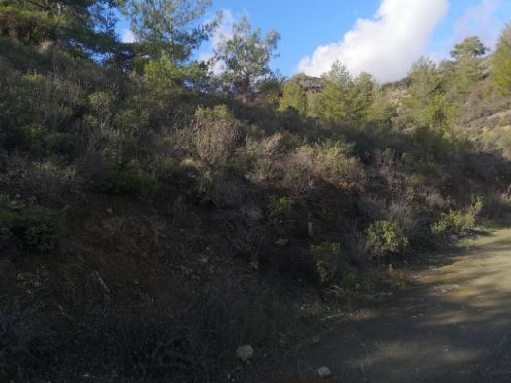 Agricultural Field - Louvaras, Limassol