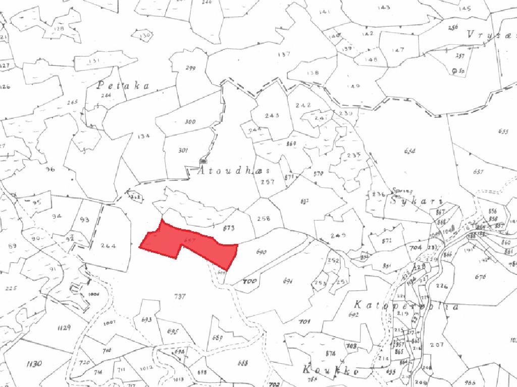 Agricultural Field - Louvaras, Limassol image 4