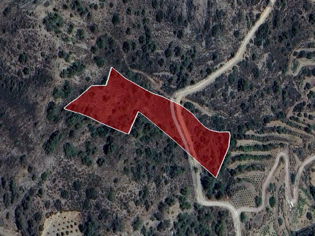 Agricultural Field - Louvaras, Limassol image 3