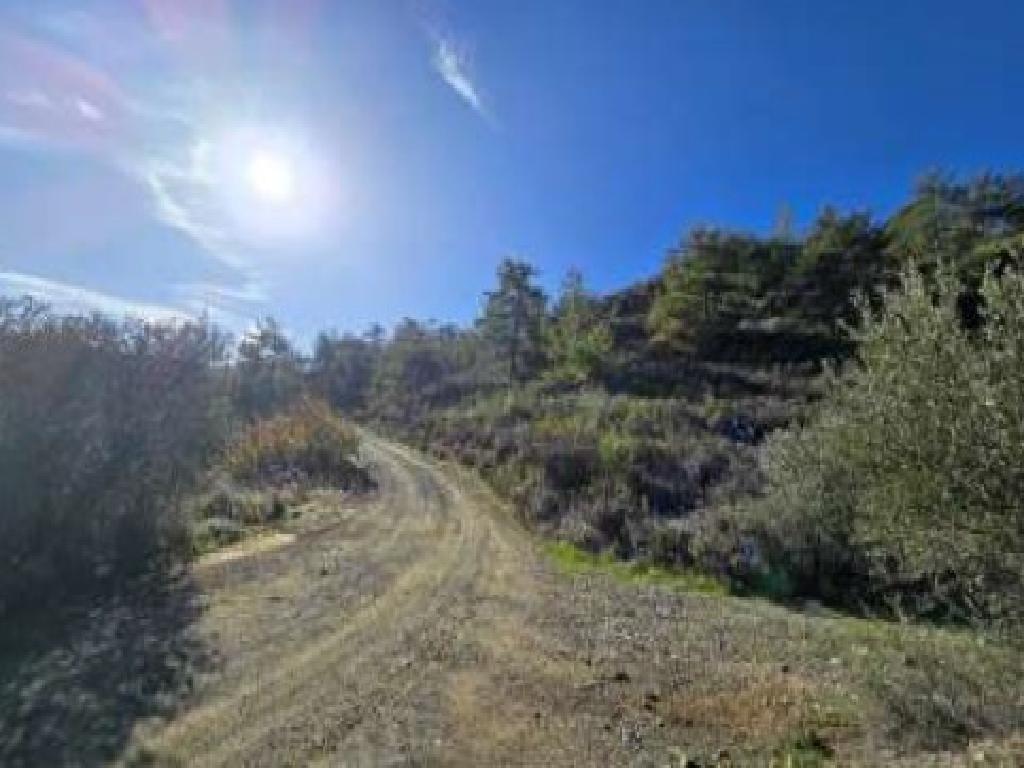Agricultural Field - Louvaras, Limassol image 2