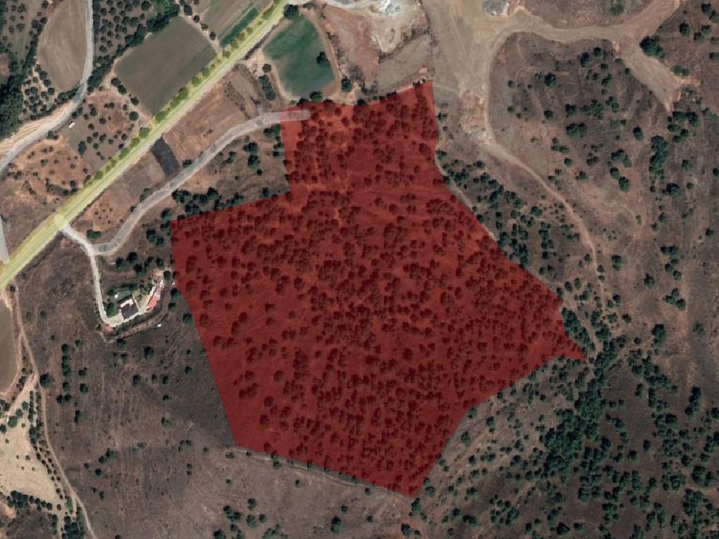 Agricultural Land (25 Fields) - Flasou, Nicosia