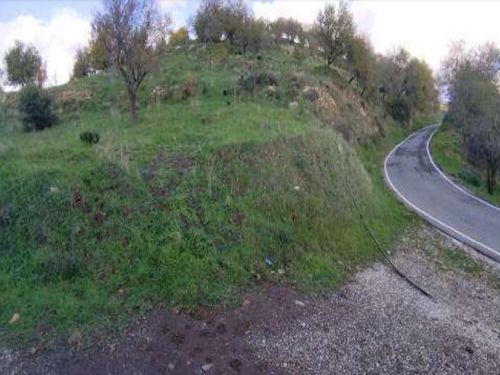 Agricultural Fields (2 units) - Statos – Agios Fotios, Paphos