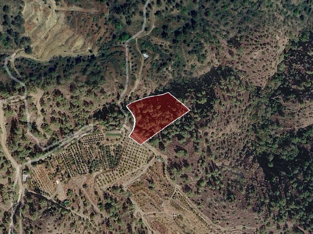 Agricultural Field - Pelendri, Limassol