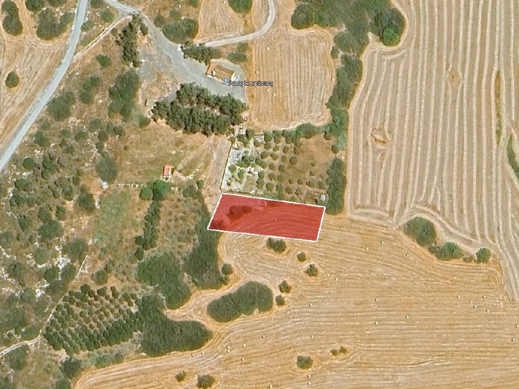 Agricultural Field - Moni, Limassol image 2