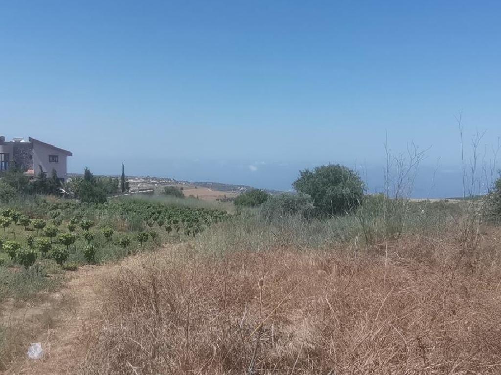 Residential Field - Ineia, Paphos image 3