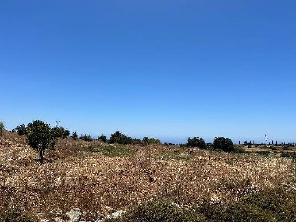 Agricultural Field - Pachna, Limassol image 2