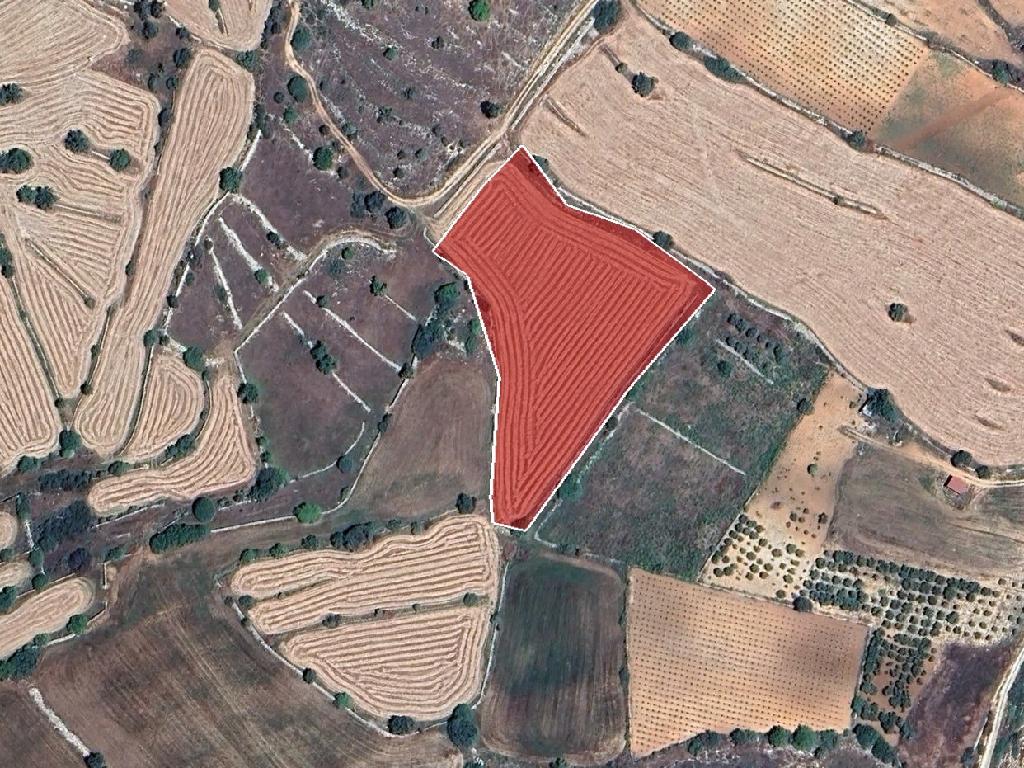 Agricultural Field - Pachna, Limassol image 3