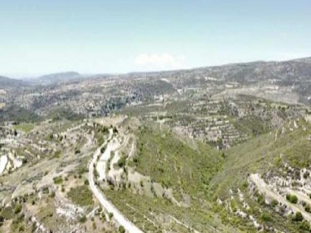 Agricultural Field - Vouni, Limassol