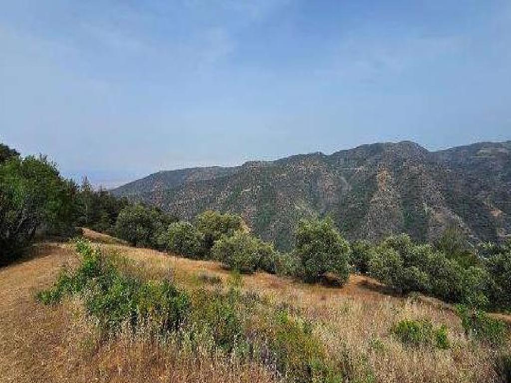 Agricultural Field - Kalopanagiotis, Nicosia image 2
