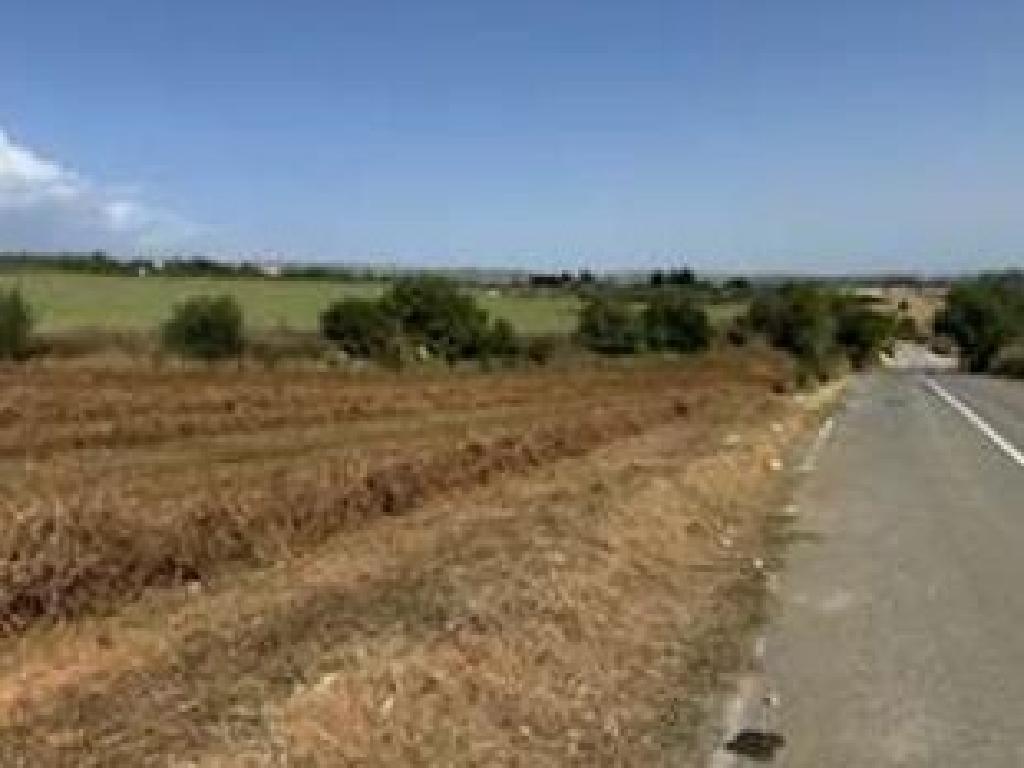 Agricultural Field - Thrinia, Paphos image 2