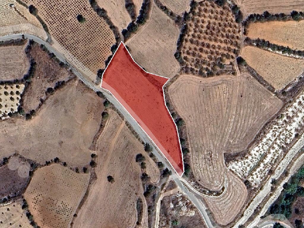 Agricultural Field - Thrinia, Paphos
