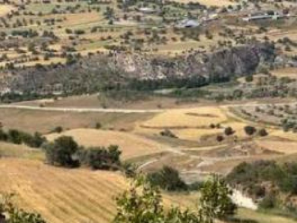 Agricultural Field - Drymou, Paphos image 2