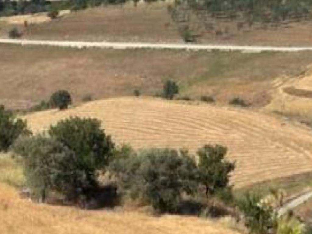 Agricultural Field - Drymou, Paphos image 3