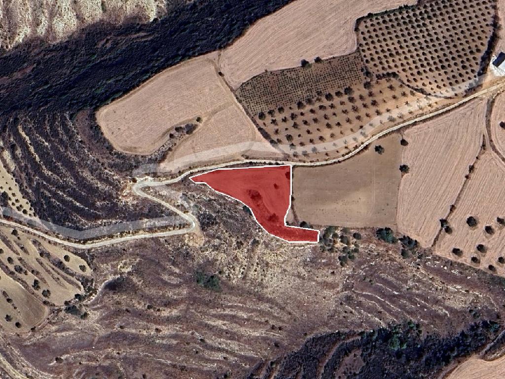 Agricultural Field - Drymou, Paphos