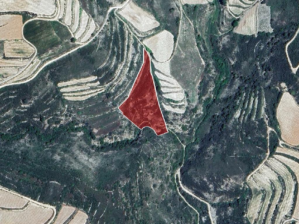 Agricultural Field - Omodos, Limassol