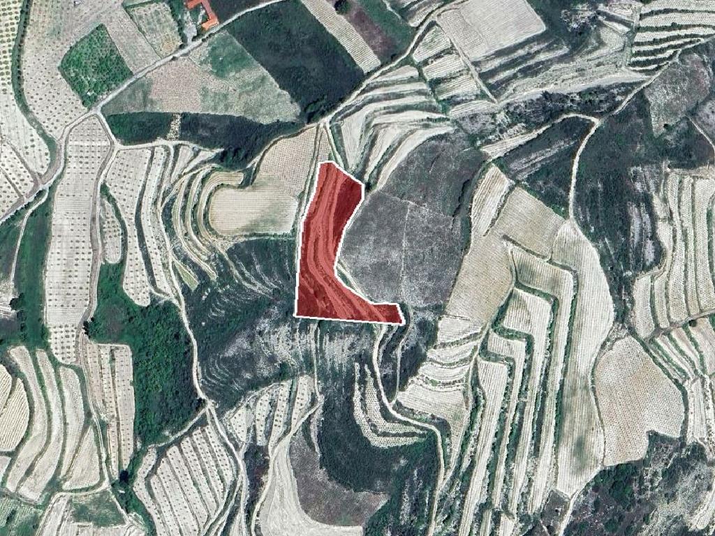 Agricultural Field - Omodos, Limassol