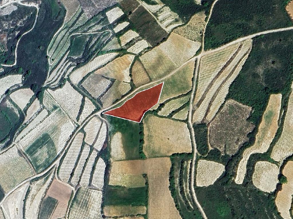 Agricultural Field - Omodos, Limassol