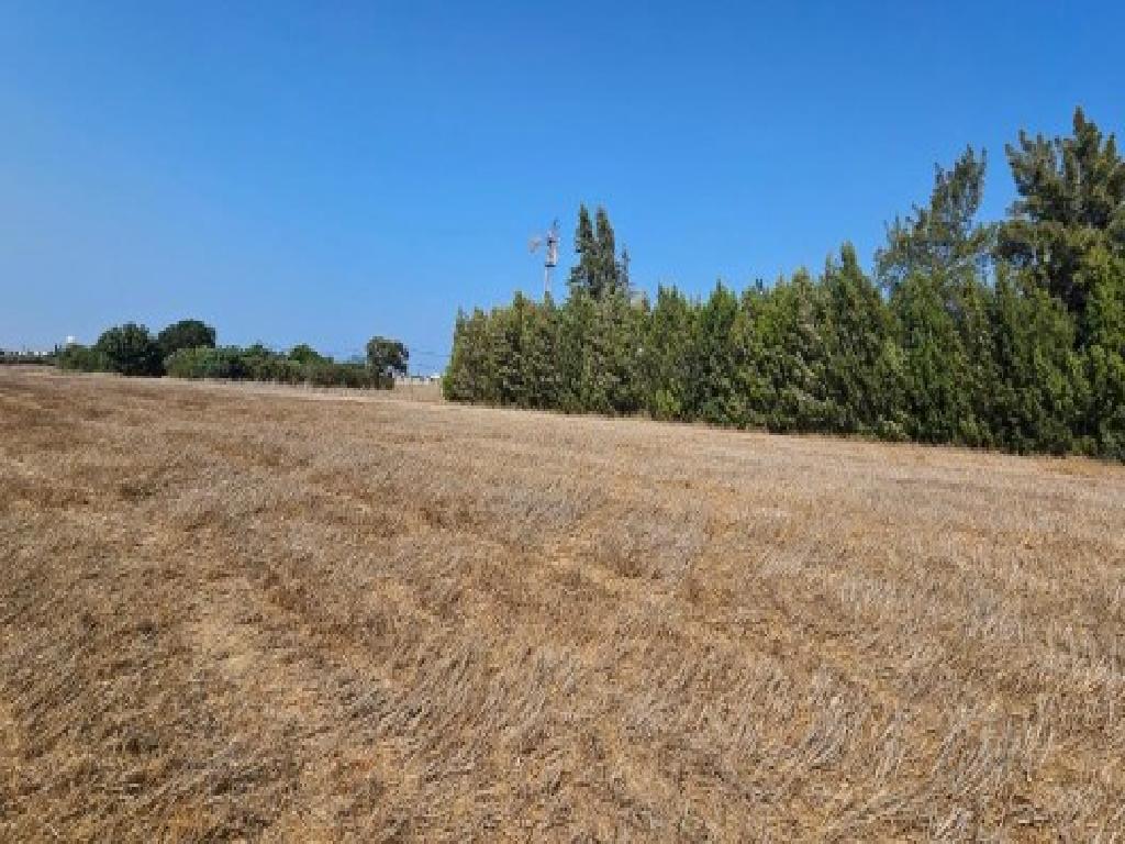 Agricultural Field - Deryneia, Famagusta image 2