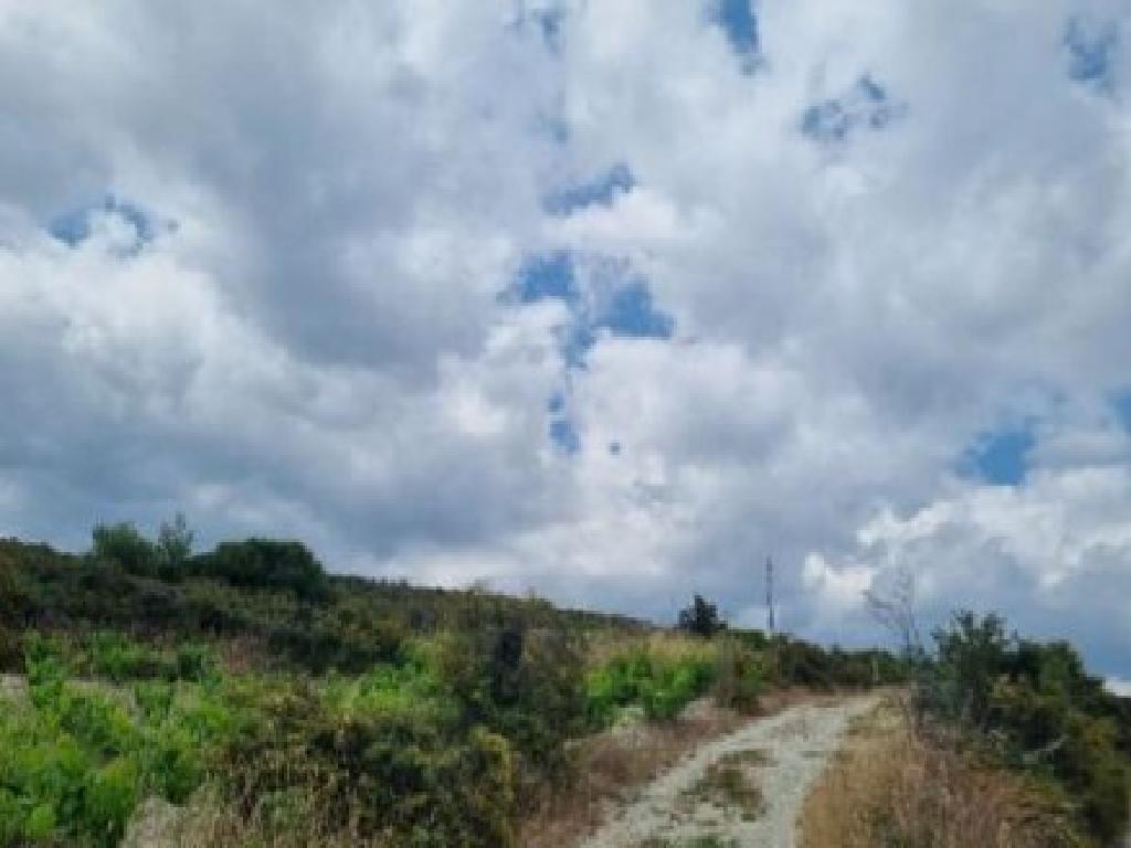 Agricultural Fields (2 units) - Koilani, Limassol