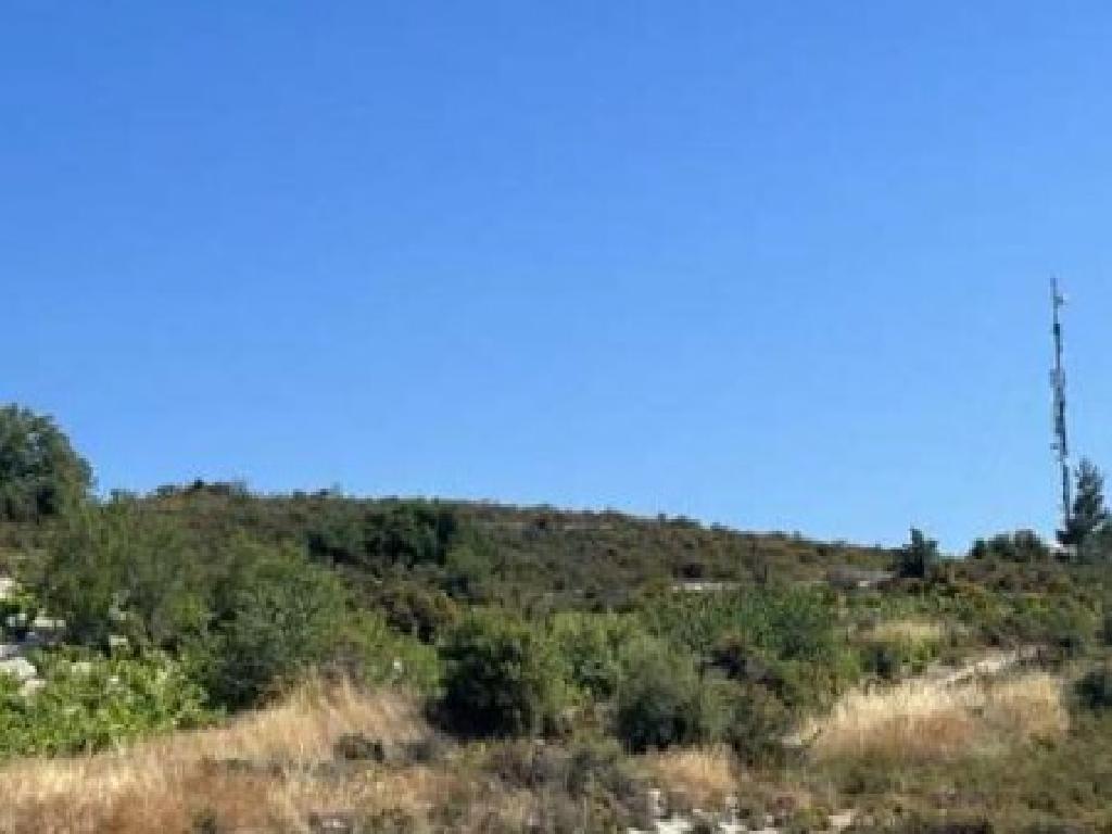 Agricultural Fields (2 units) - Koilani, Limassol image 2