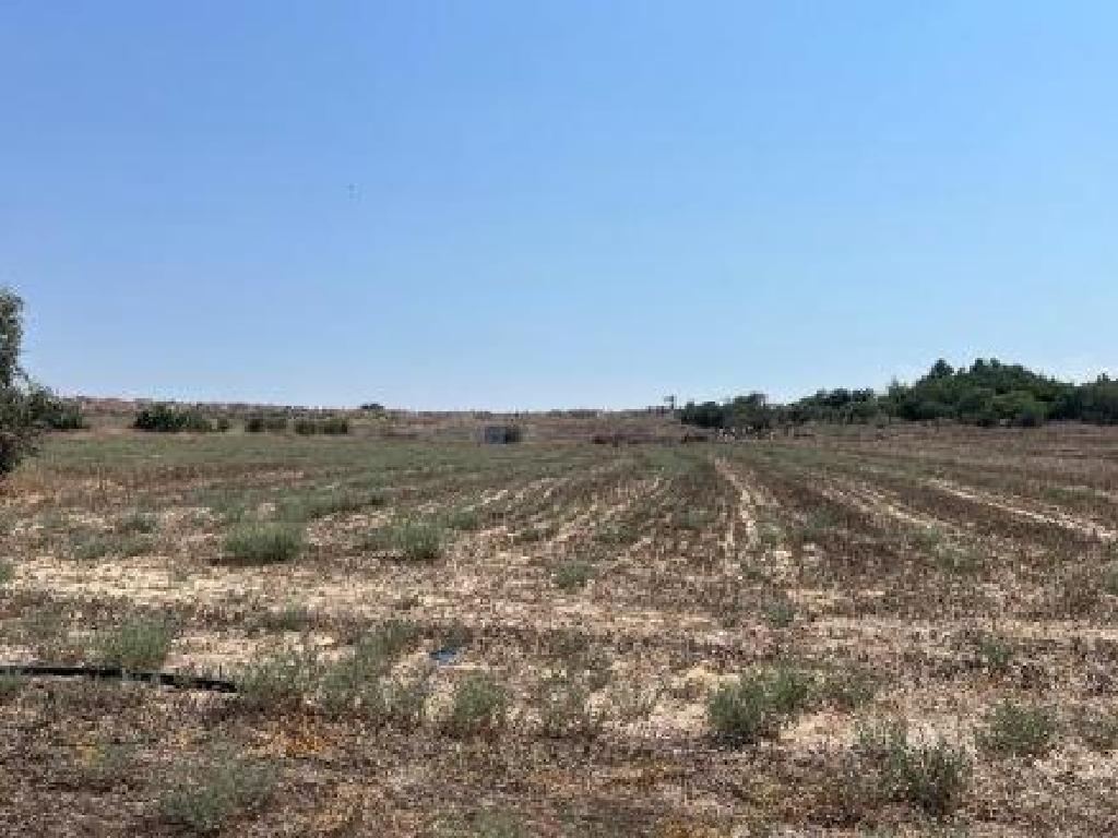 Agricultural Field - Geri, Nicosia image 2